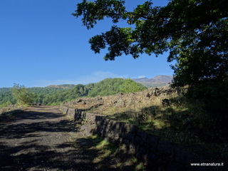 nte Rinatu-15-09-2019 09-07-30
